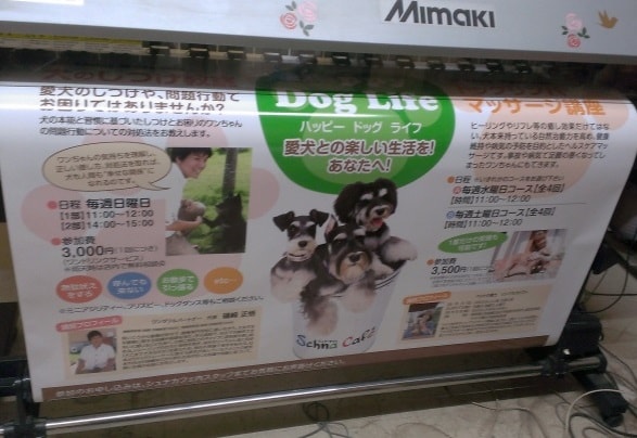塩ビシート